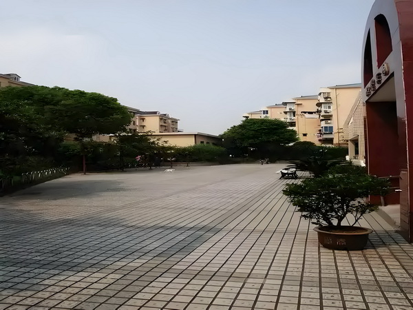 不朽之纵横天下